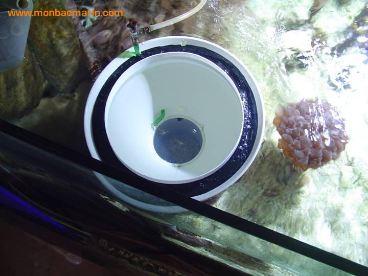 Bac d'élevage crevettes